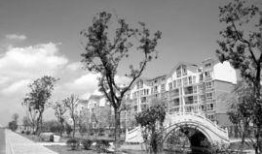 桃源新建筑爆料最新消息,揭秘最新建筑爆料背后的惊艳设计